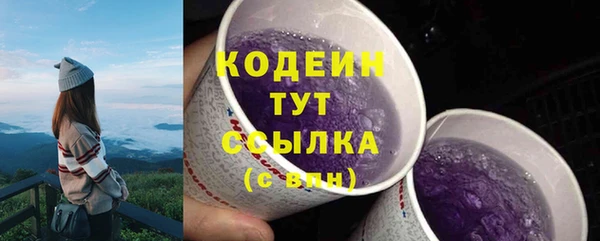амф Арсеньев