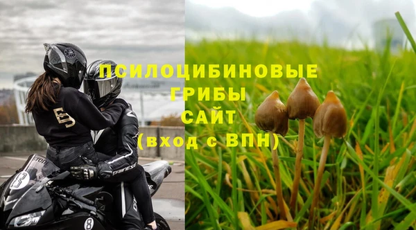 амф Арсеньев