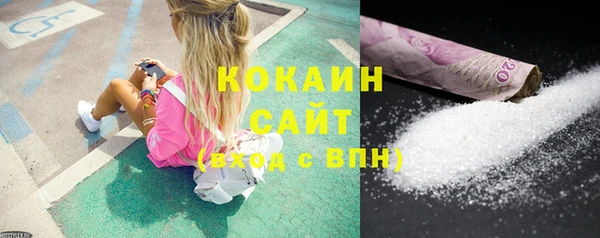 прущие грибы Баксан