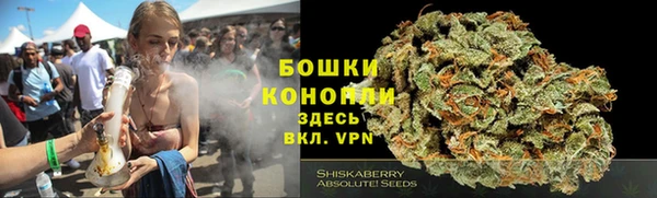 твердый Аркадак