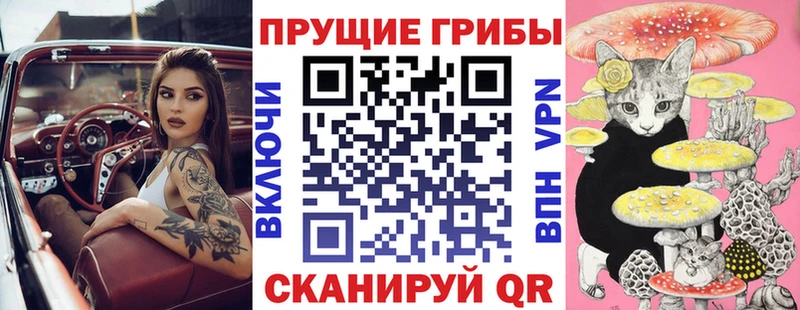 даркнет сайт  Саров  Галлюциногенные грибы GOLDEN TEACHER 